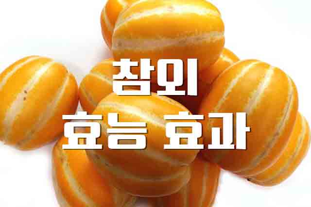  참외, 껍질째 먹으면 좋은 참외 여름 과일