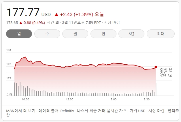 테슬라-주식-차트