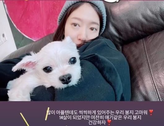  박신혜 근황 공개, 반려견과 함께 털모자를 쓴 채 화장기 없는 얼굴 공개