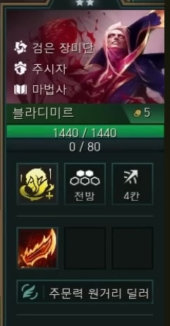 블라디 이미지
