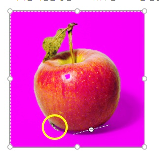 파워포인트 PPT 이미지 배경제거 투명하게 만들기