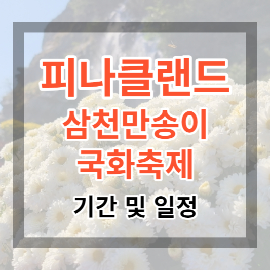  피나클랜드 삼천만송이 국화축제 기간 및 일정 국화꽃 향기에 취해 보세요.