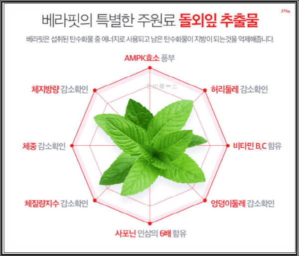 베라핏-효능-3가지