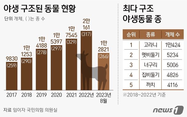  외래 유기동물 문제, 블랙킹스네이크는 어떻게?