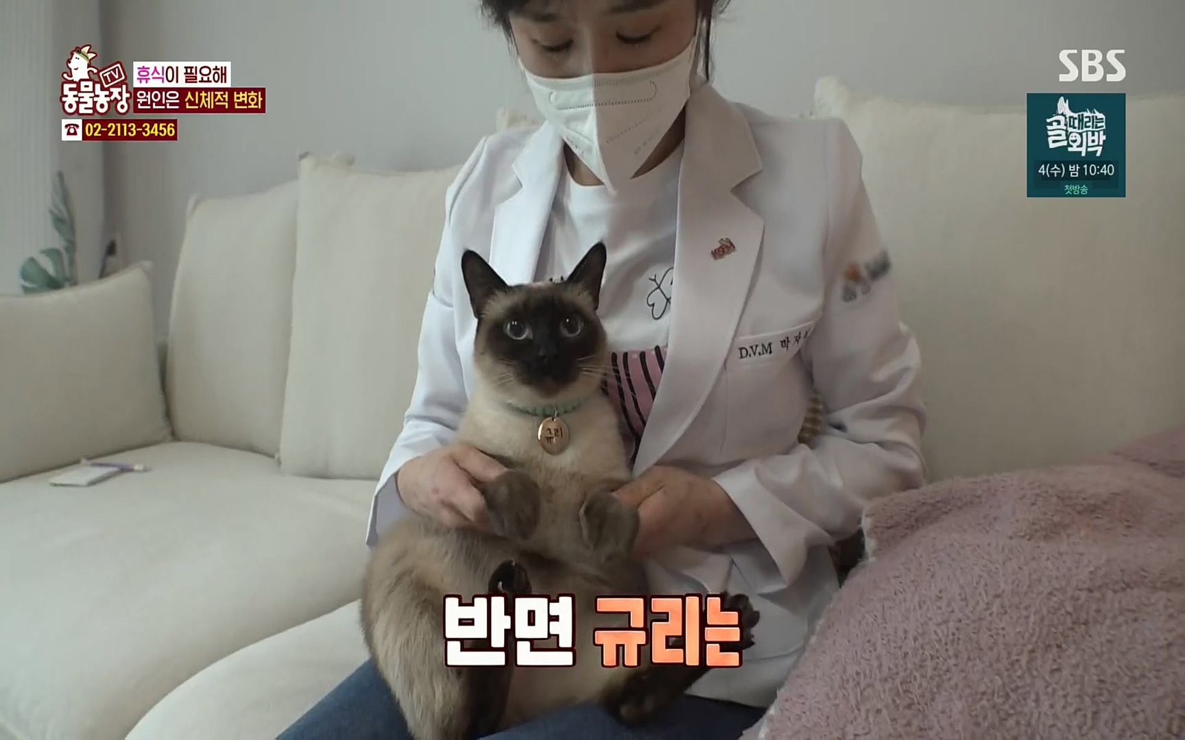 TV 동물농장.E1067.220501p.H264-F1RST.mp4_20220501_182857.913.jpg