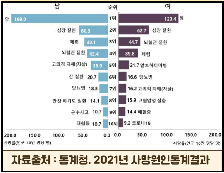 사망원인 통계_출처: 통계청