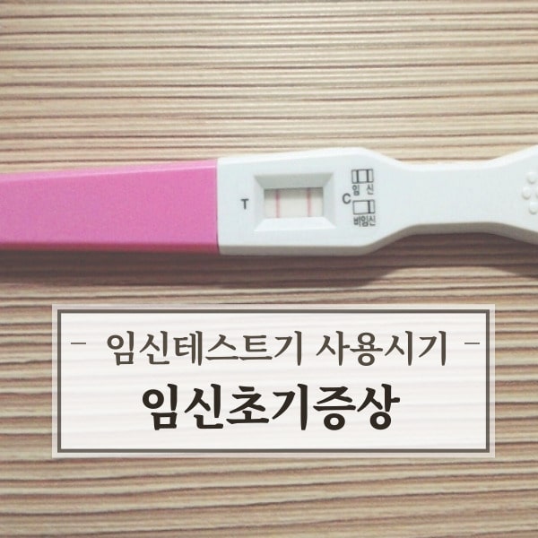 실제사용해본테스트기