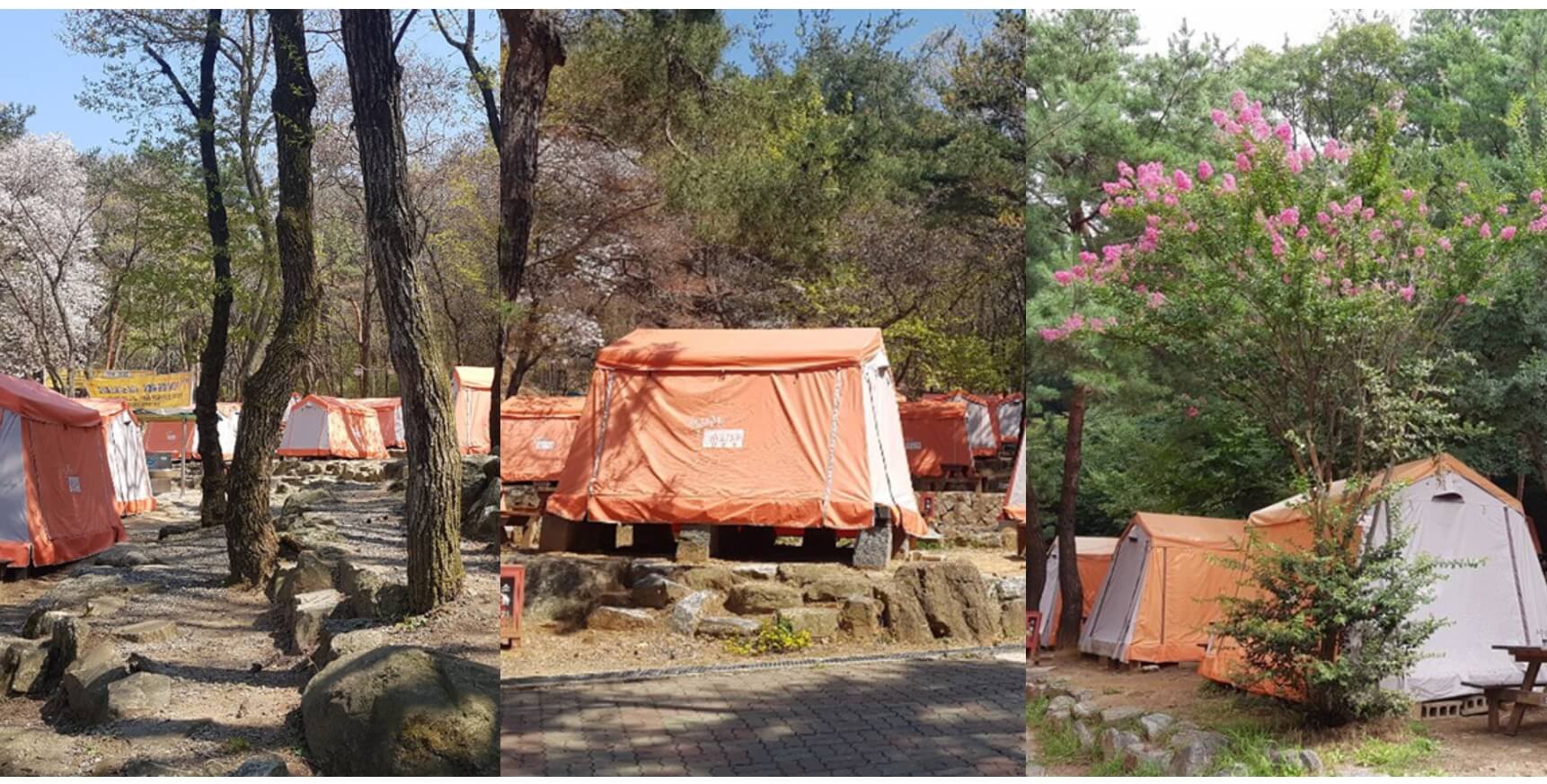 캠핑장-사진-모음