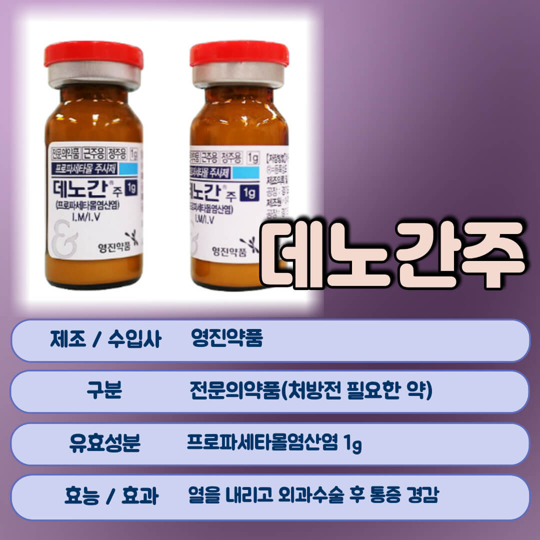 데노간주 개요