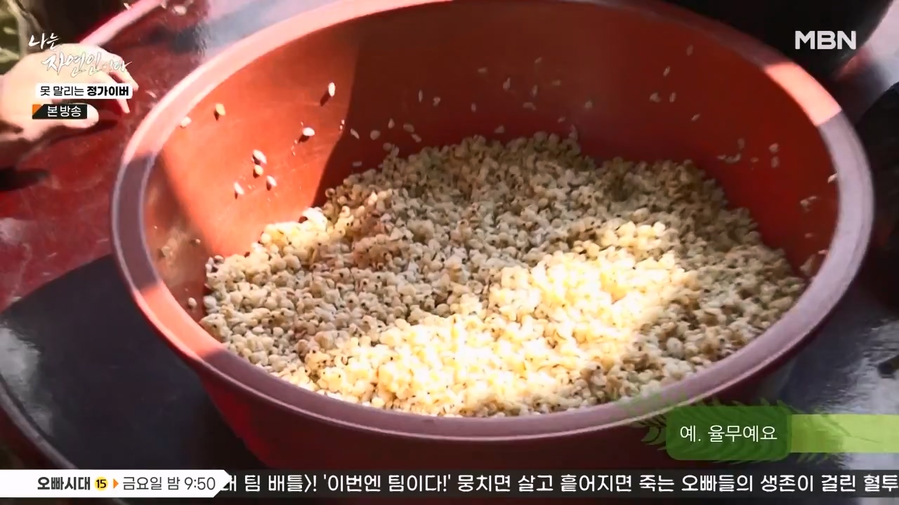 나는 자연인이다.E580.231116p-NEXT.mp4_20231116_202512.122.jpg