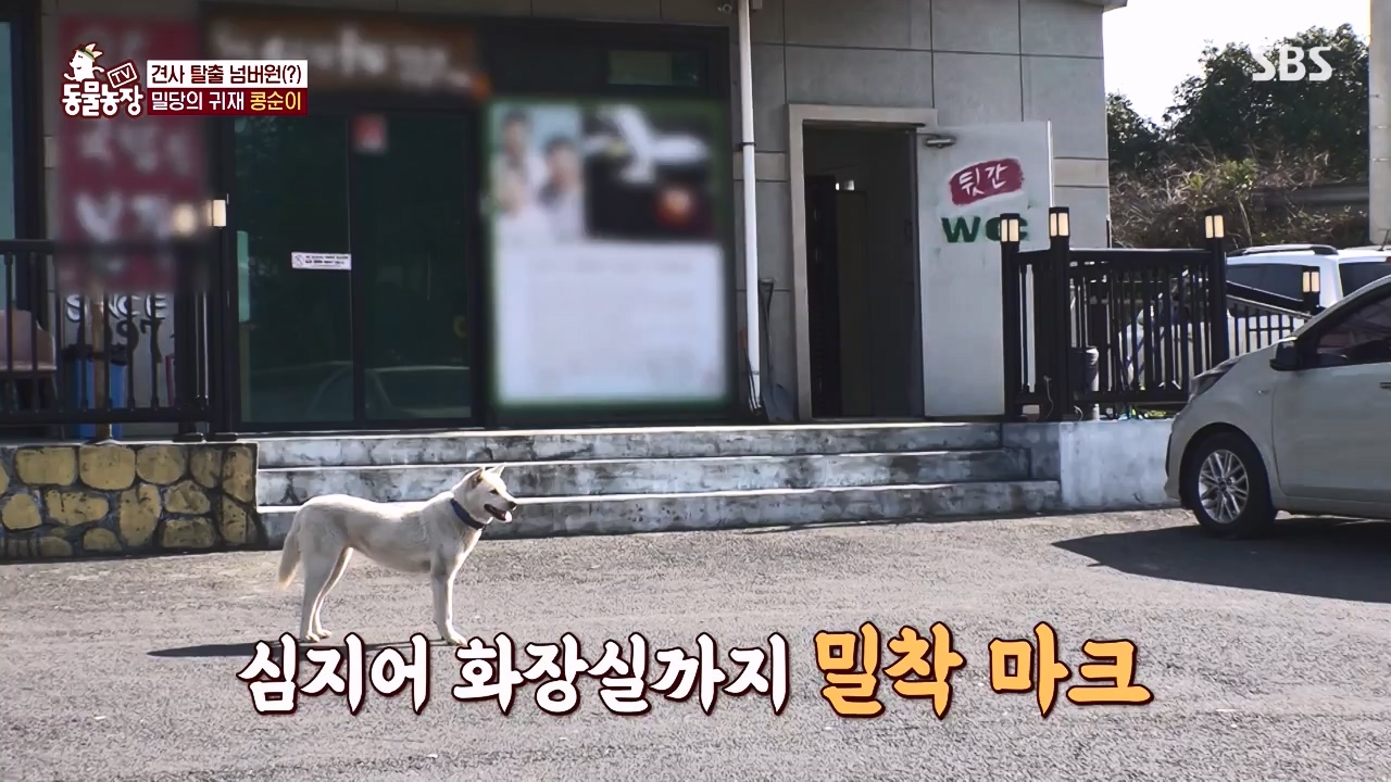 TV 동물농장.E1168.240422p-NEXT.mp4_20240421_170942.997.jpg