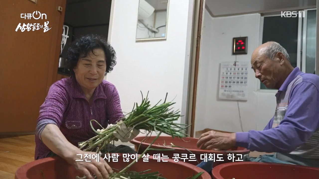 다큐 온.E249.240526p-NEXT.mp4_20240526_152344.898.jpg