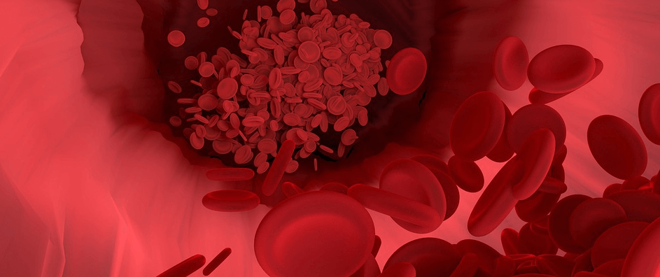 삽화로 확대해서 그려진 혈액 적혈구의 모습