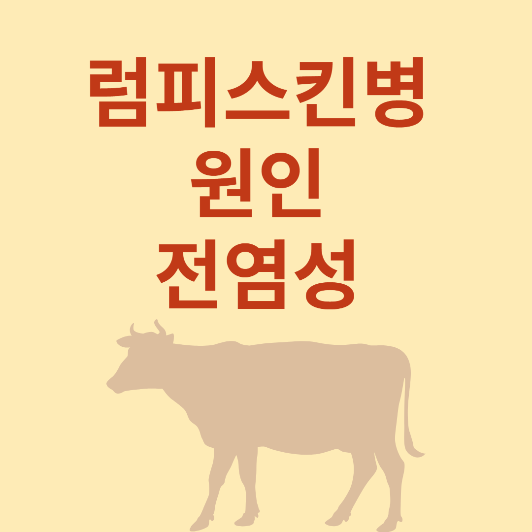 럼피스킨병-원인-전염성