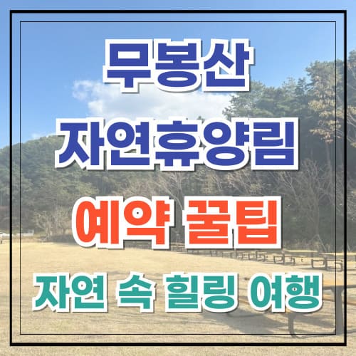 무봉산 자연휴양림 예약 꿀팁 완벽한 자연 속 힐링 여행