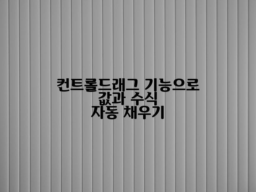컨트롤드래그 기능으로 값과 수식 자동 채우기