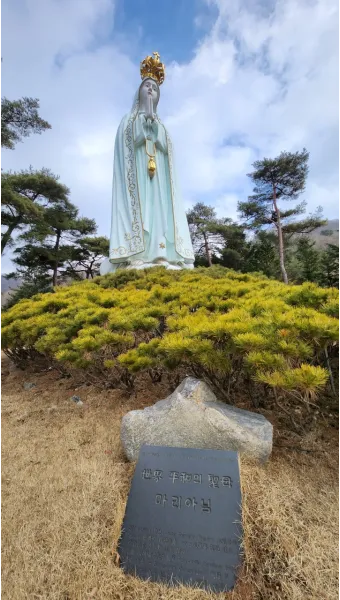 천진암 흰민들레 백양자연관찰로 괭이눈 개화_20