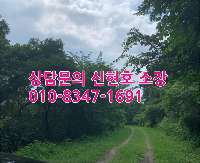 경북 영천 임야 매매 [2021타경4956] 경북 영천시 3