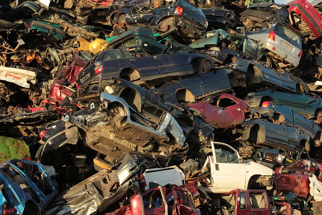 폐차장에서 찍은 사진