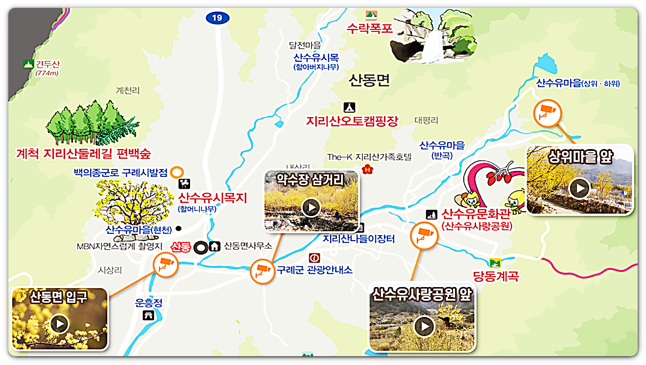 구례 산수유축제 교통상황