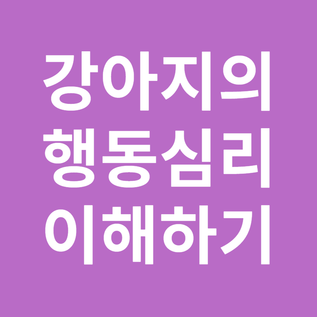 강아지의 행동심리 이해하기 썸네일