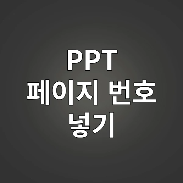 PPT 페이지 번호 넣기