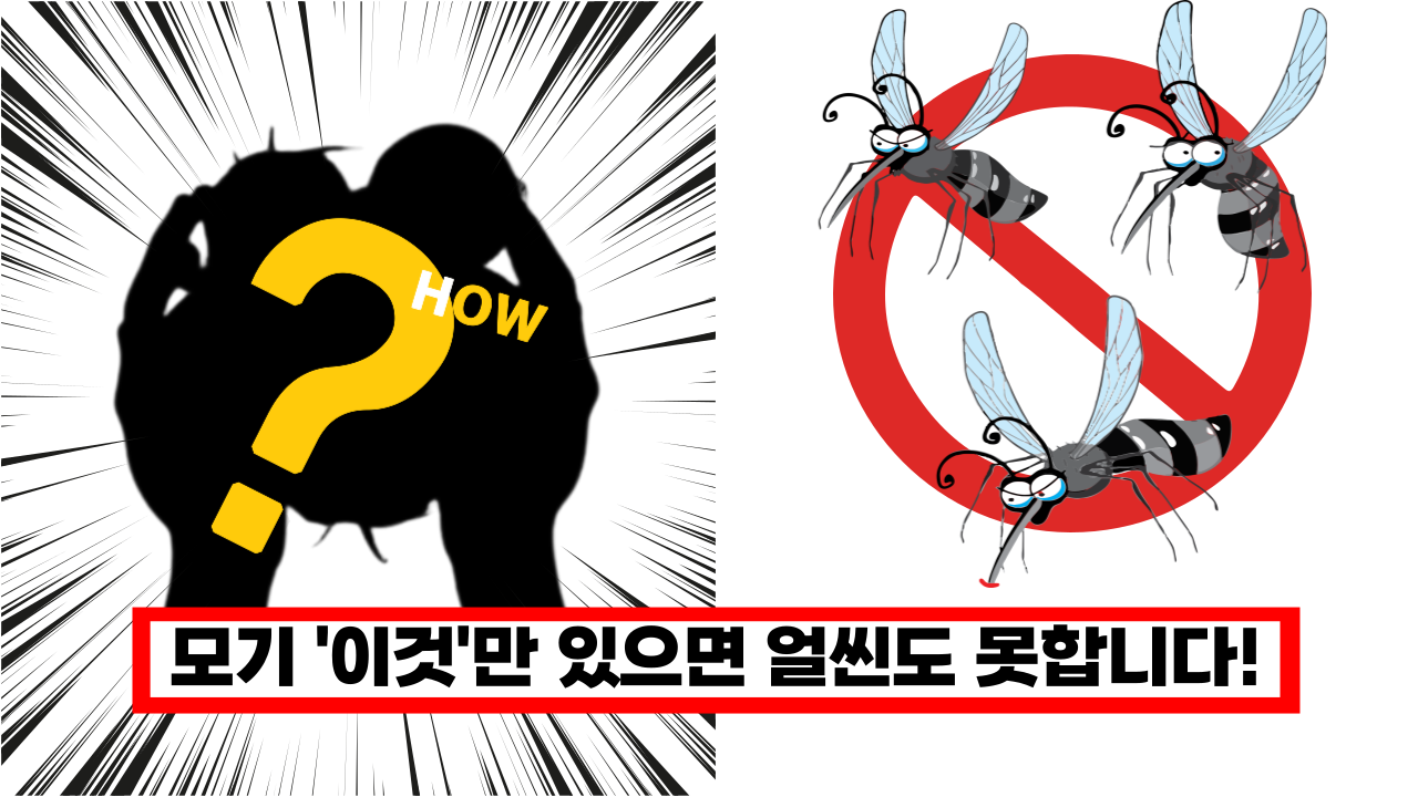  '이제 살충제 필요 없어요' 지긋지긋한 모기 퇴치하는 확실한 방법