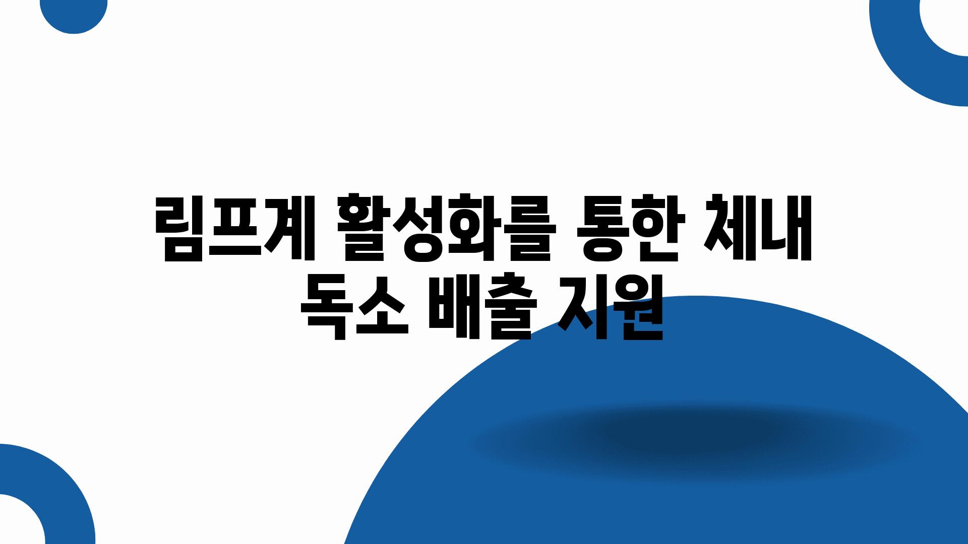 림프계 활성화를 통한 체내 독소 배출 지원