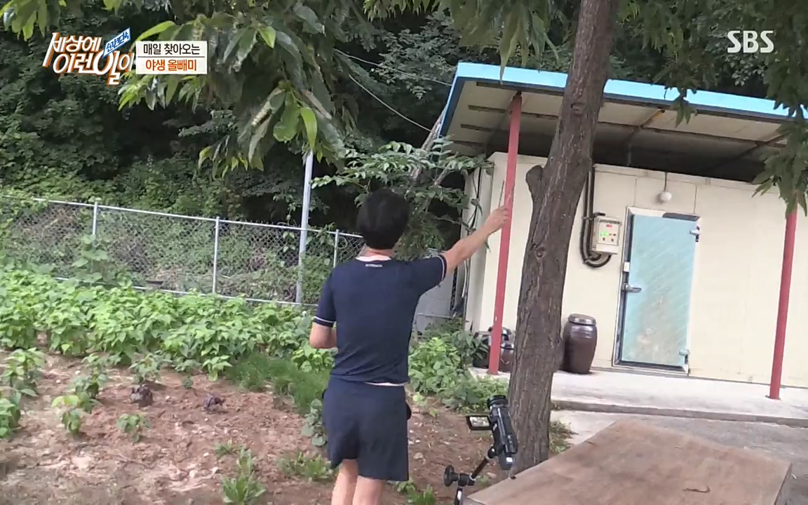 순간포착 세상에 이런일이.E1189.220720p-NEXT.mp4_20220720_200920.918.jpg