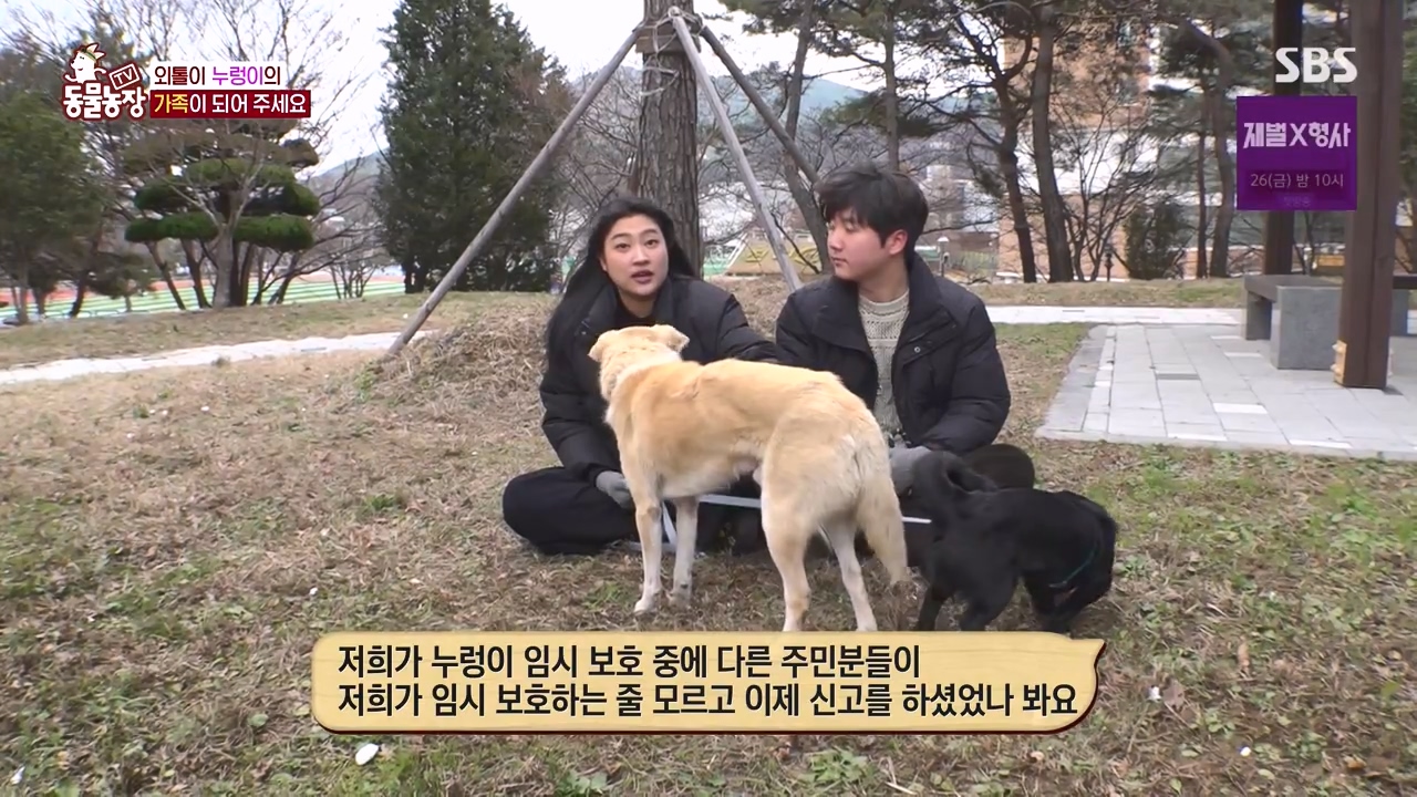 TV 동물농장.E1154.240115p-NEXT.mp4_20240114_184110.396.jpg