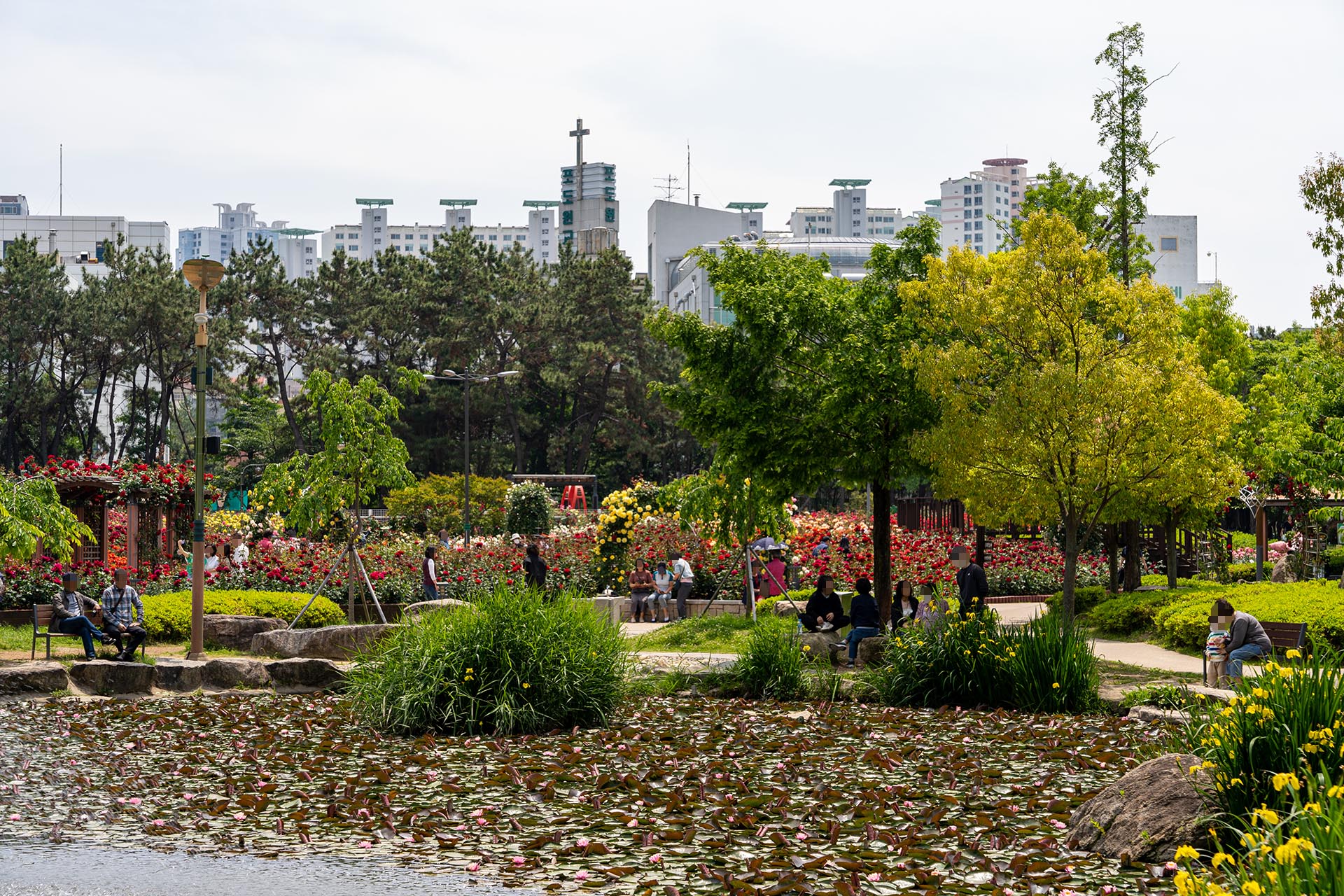 화명 장미공원