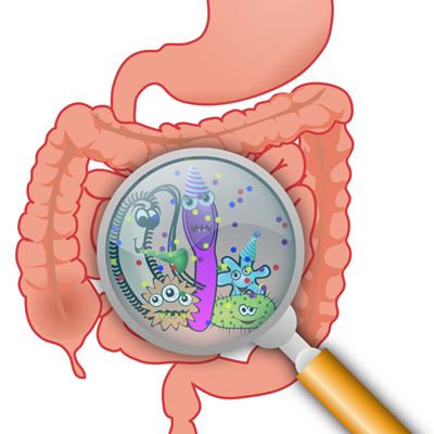 감자 효능