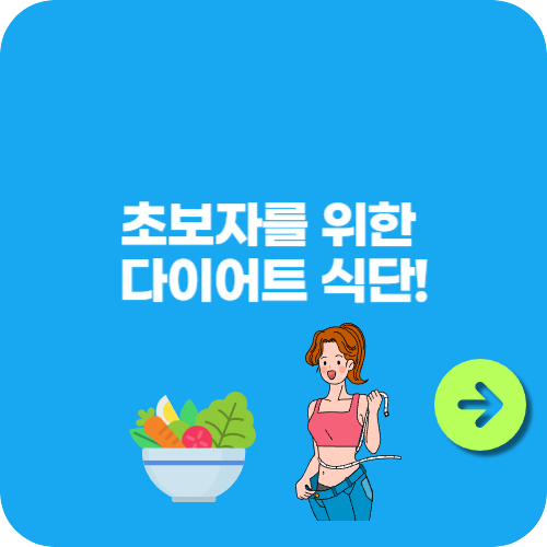 초보자를 위한 다이어트 식단