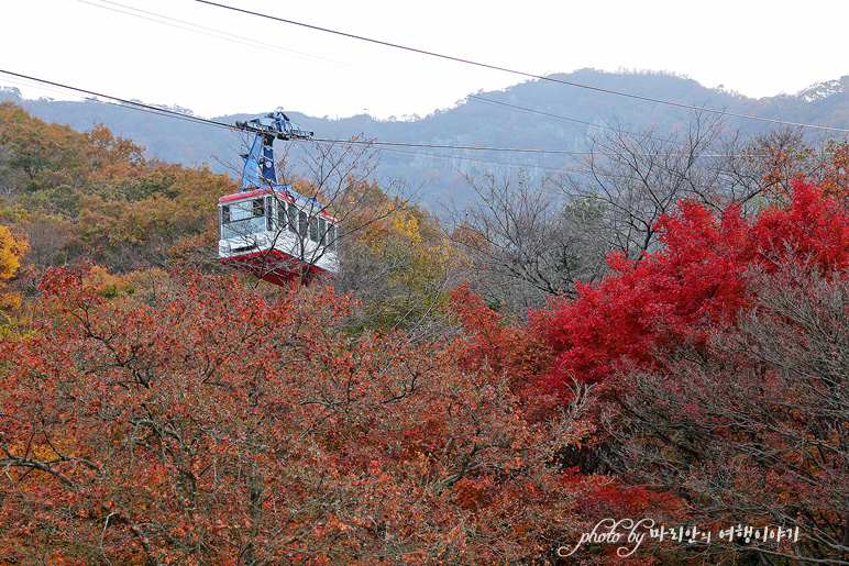 11/5 장산 단풍 절정의 정읍 내장사 18