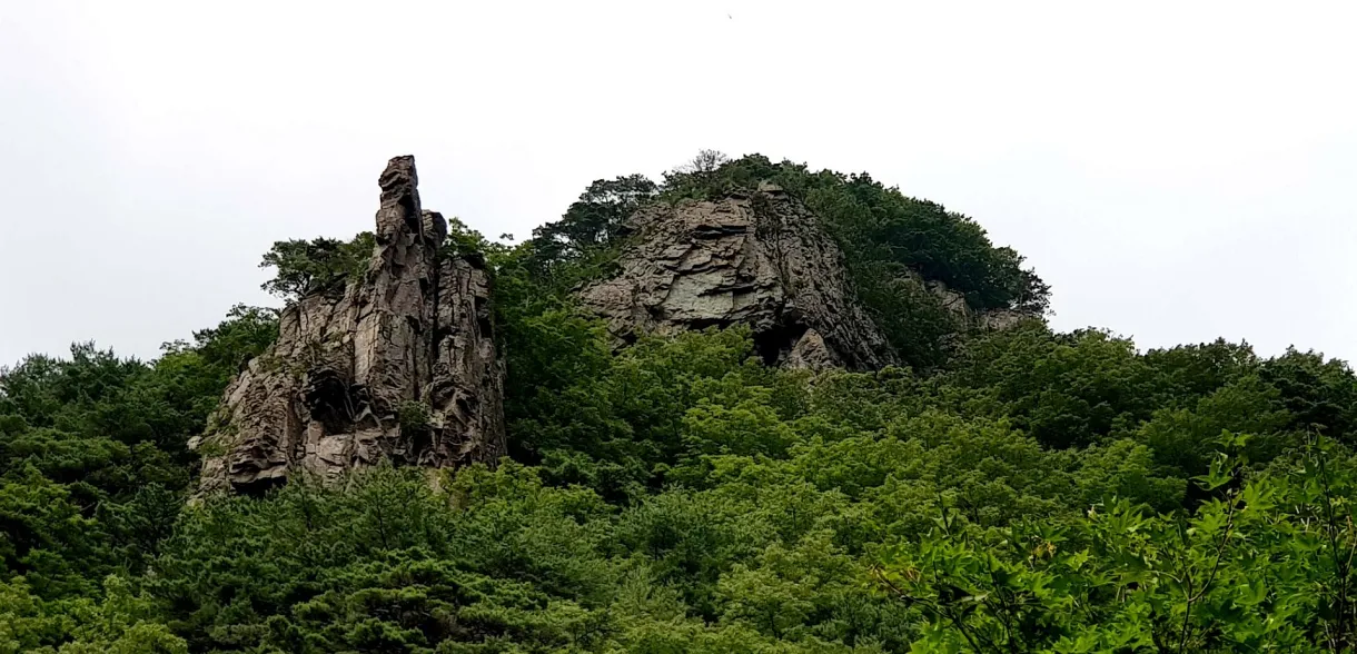 포항 동대산