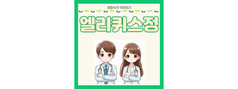 엘리퀴스정 썸네일