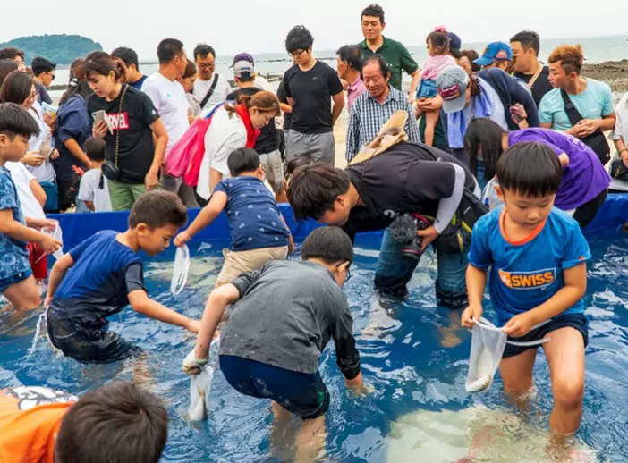 무창포 대하 전어 축제9