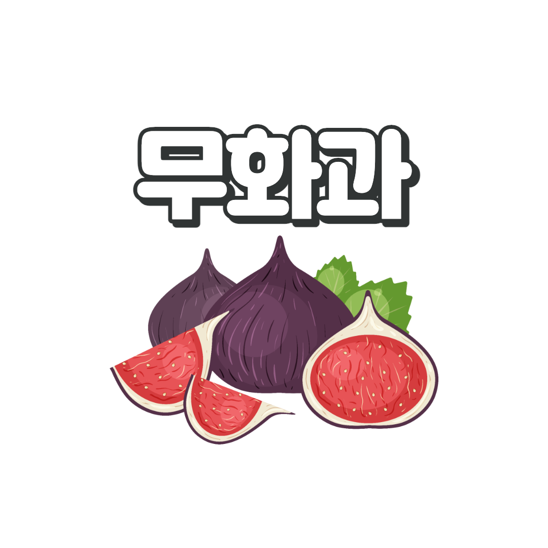  무화과 효능, 먹는법, 부작용 총정리