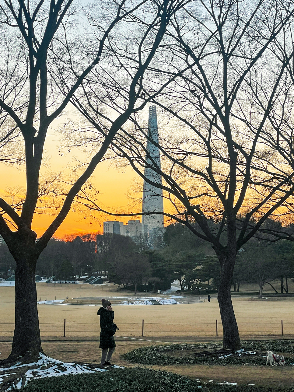 올림픽공원 나홀로나무 사진찍기 좋은곳 서울 가볼만한곳 겨울 5