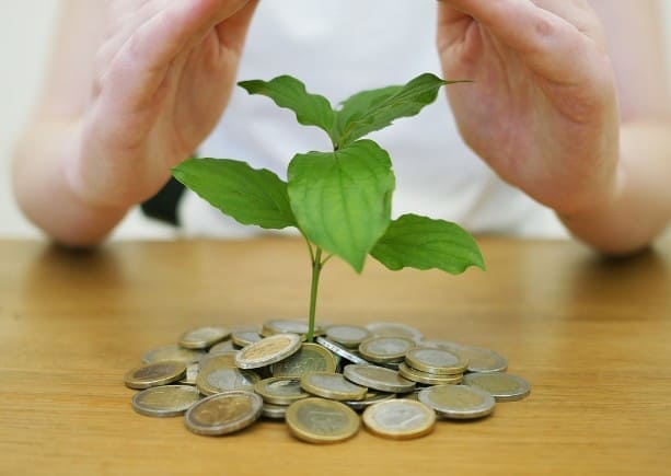 Money, Coins, plant