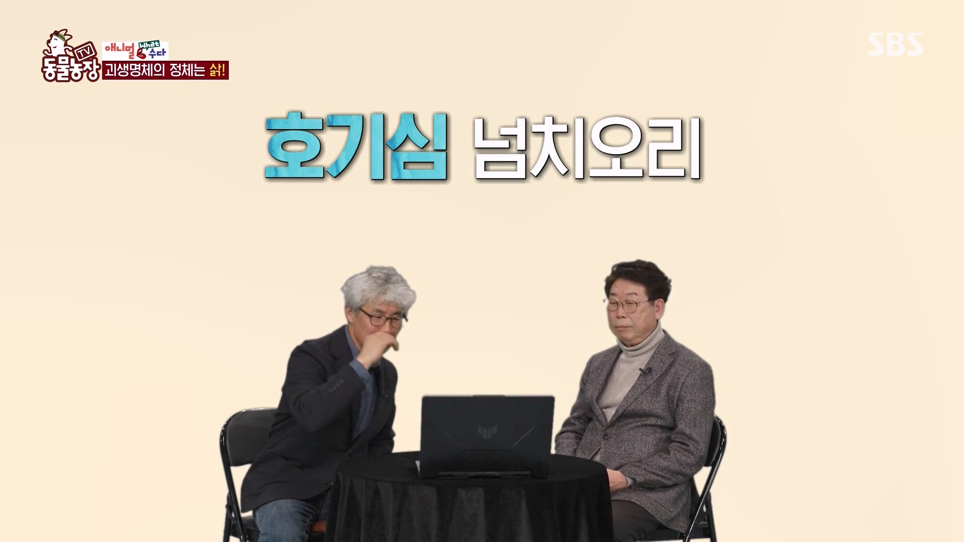 TV 동물농장.E1164.240324p-NEXT.mp4_20240324_170501.770.jpg