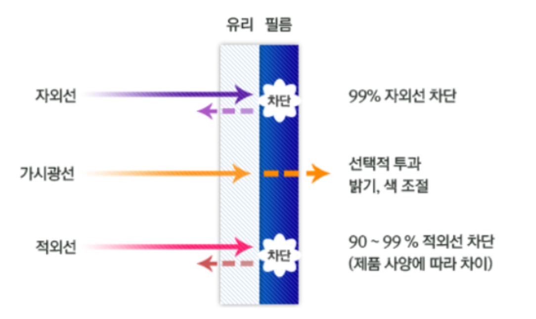 썬팅의 효과