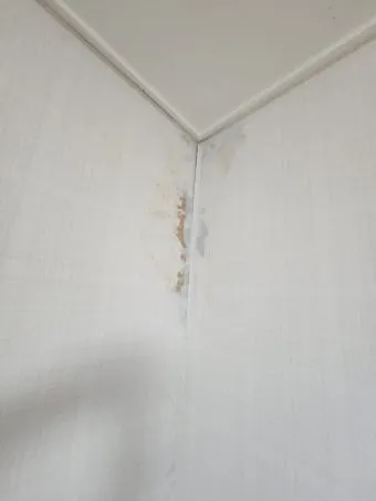 벽지 곰팡이 제거법 원인 파악과 셀프 클리닝 요령 정리_18