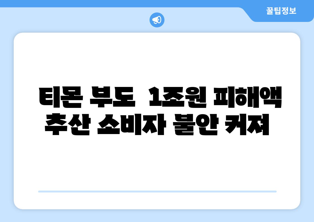  티몬 부도  1조원 피해액 추산 소비자 불안 커져