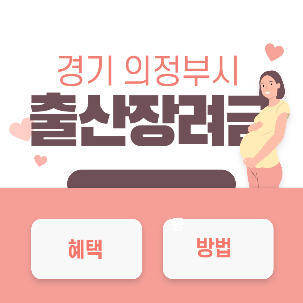 경기 의정부시 출산지원금 출산장려금 신청방법 지원대상 금액 첫만남이용권