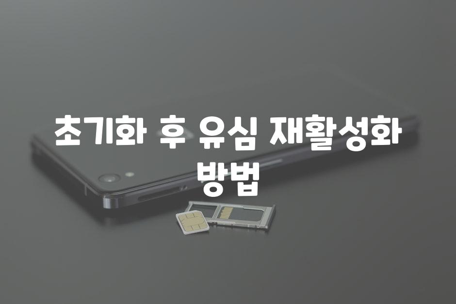 초기화 후 유심 재활성화 방법