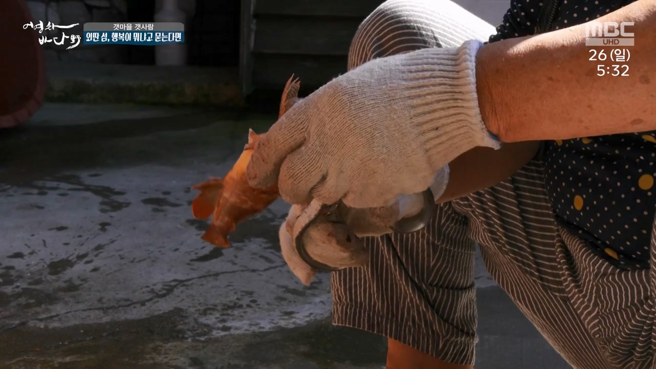 MBC 네트워크 특선 푸른백세 어영차 바다야.E1650.231127p-NEXT.mp4_20231202_171535.962.jpg
