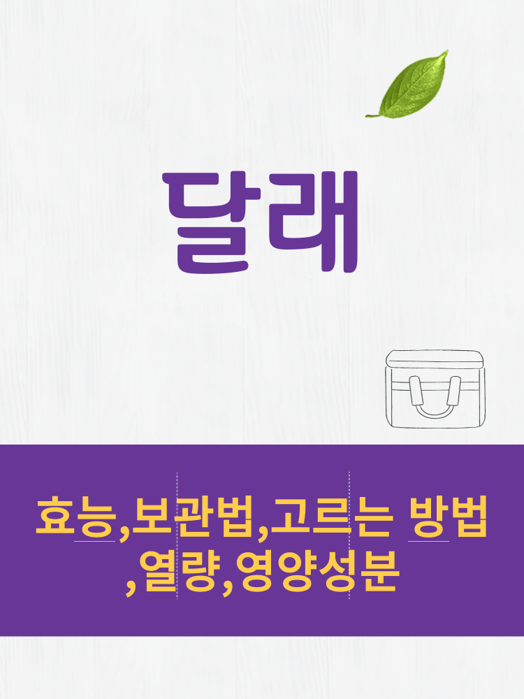 달래 효능 및 열량과 보관법 칼로리 총정리 