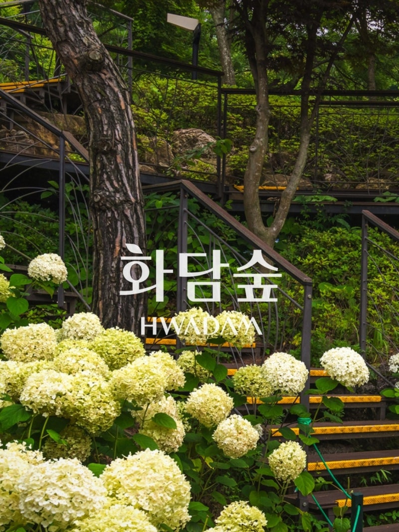 화담 이미지