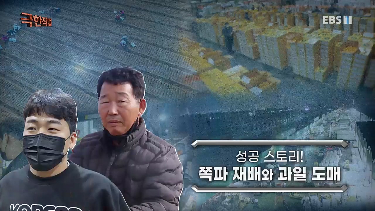 TV - 교육의 중심 EBS성공 스토리! 쪽파 재배와 과일 도매.mp4_20221209_201408.590.jpg